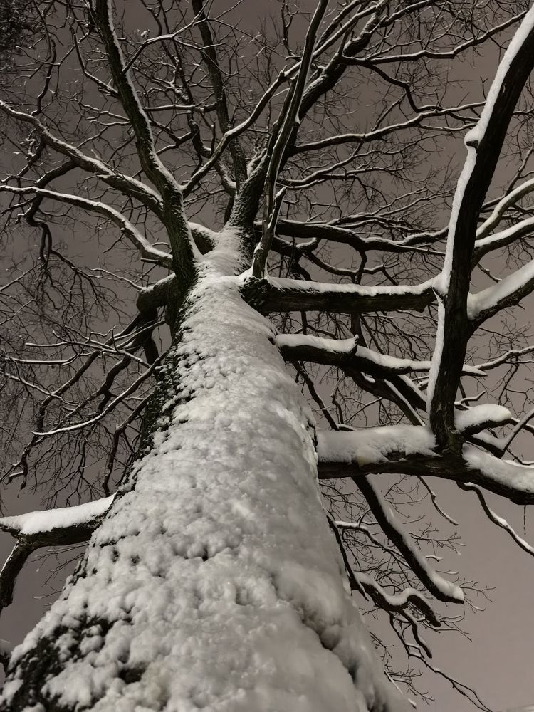 Photograph by Ирина Иванова