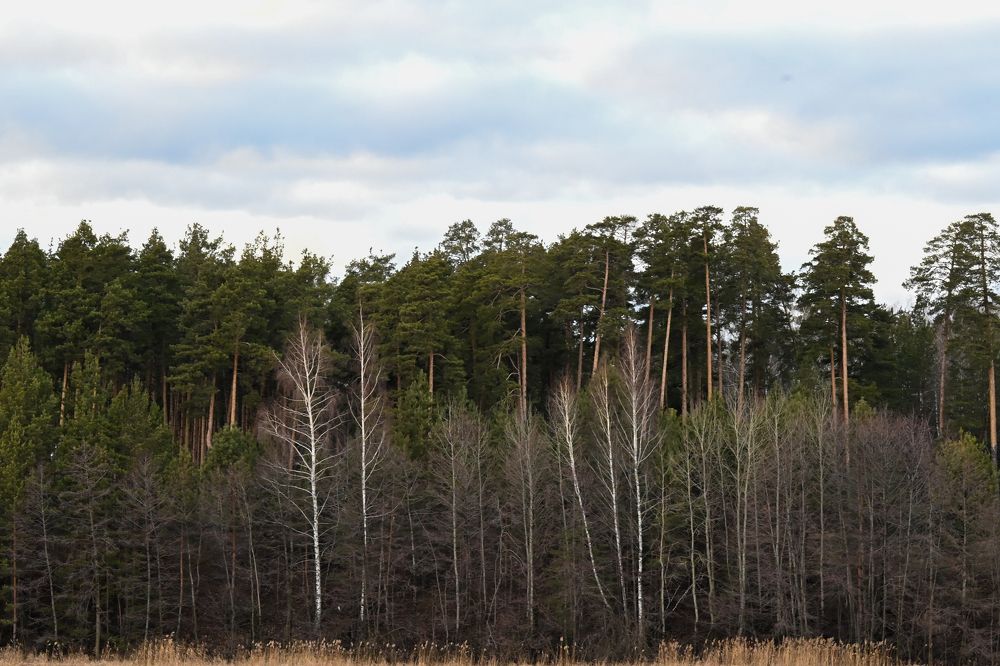 Photograph by Алексей Гончаров