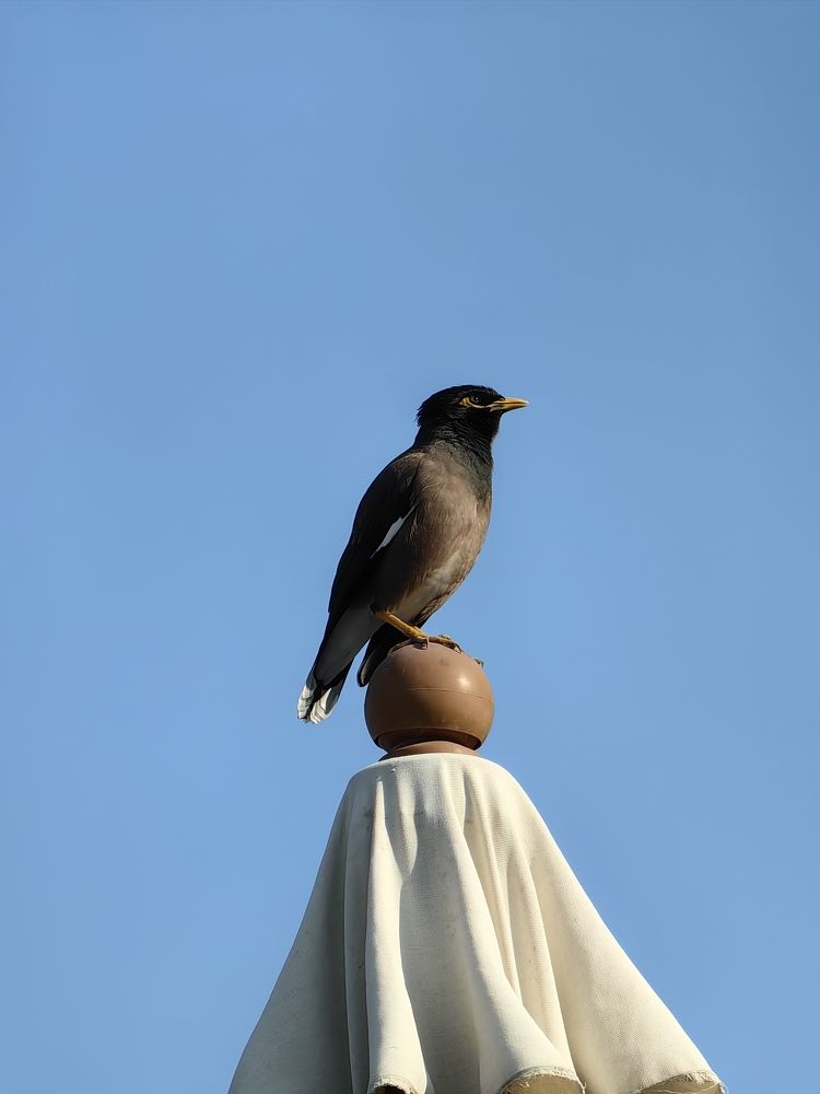 Photograph by Veranika Siratsinina