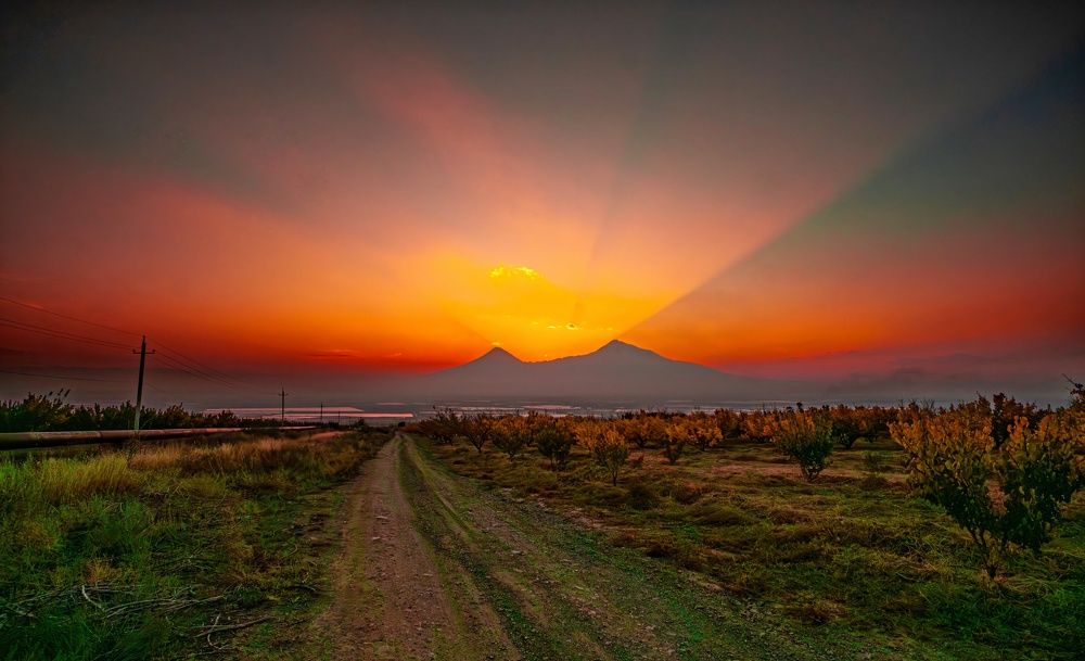 Photograph by Anush Mkrtchyan