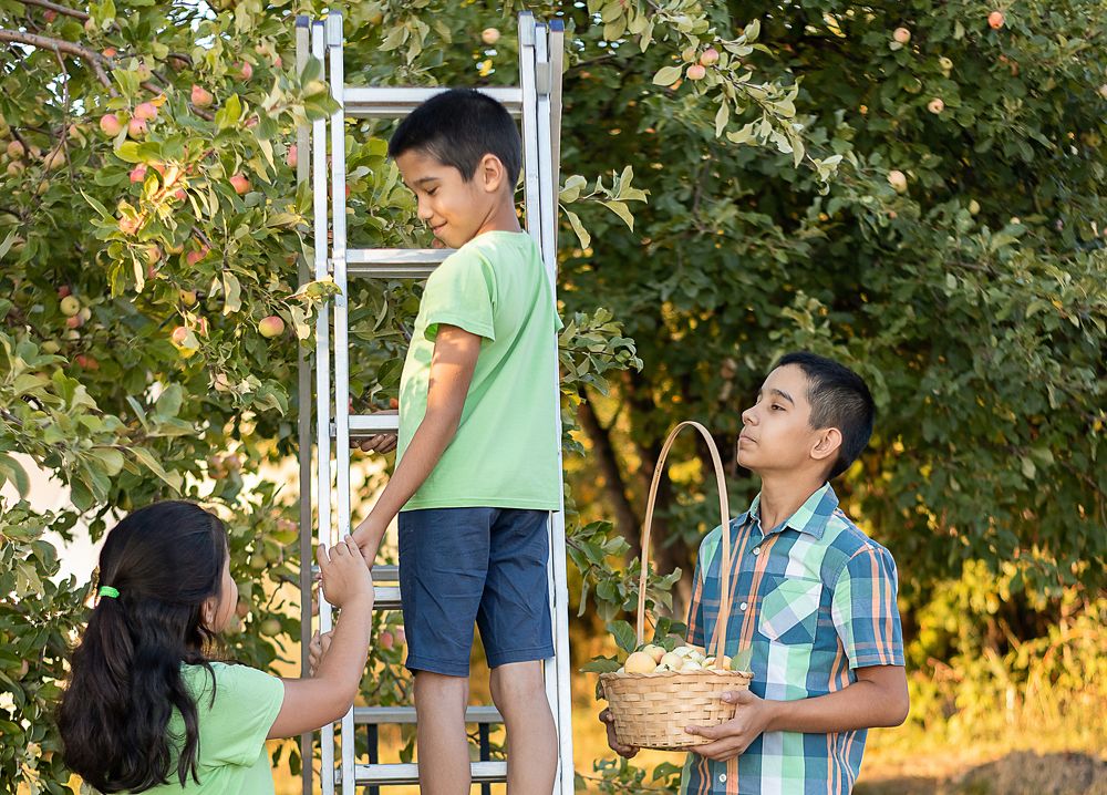 Photograph by Давлеева Эльза