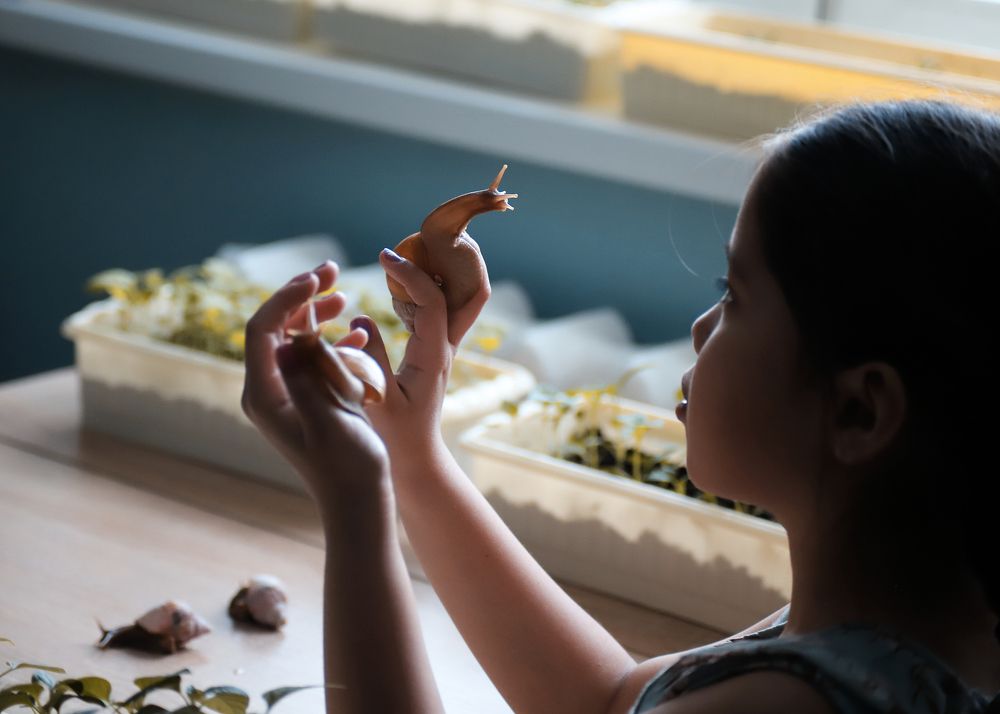 Photograph by Давлеева Эльза