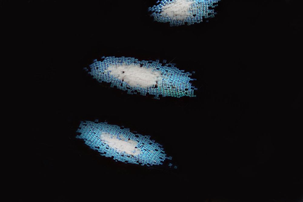 Photograph by Sally Sayed