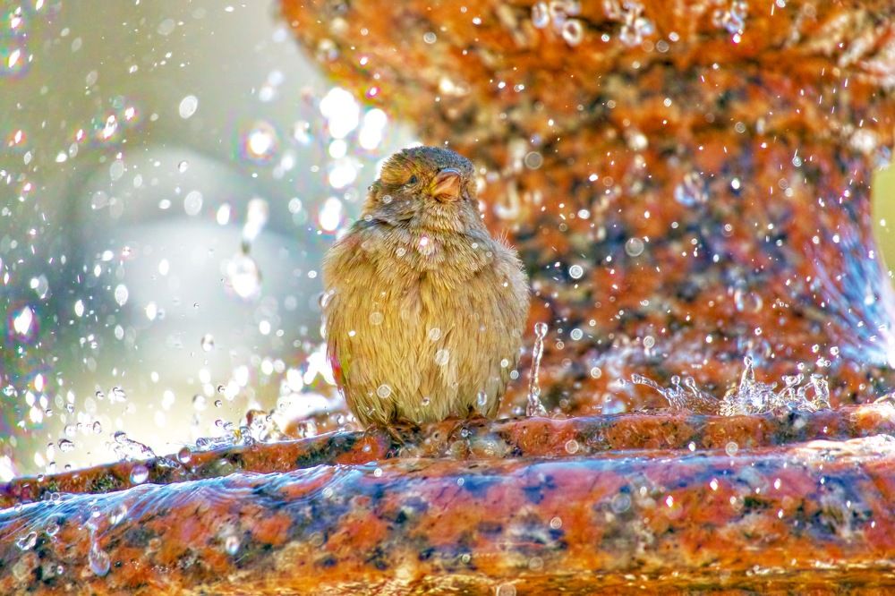 Photograph by Рахманин Михаил