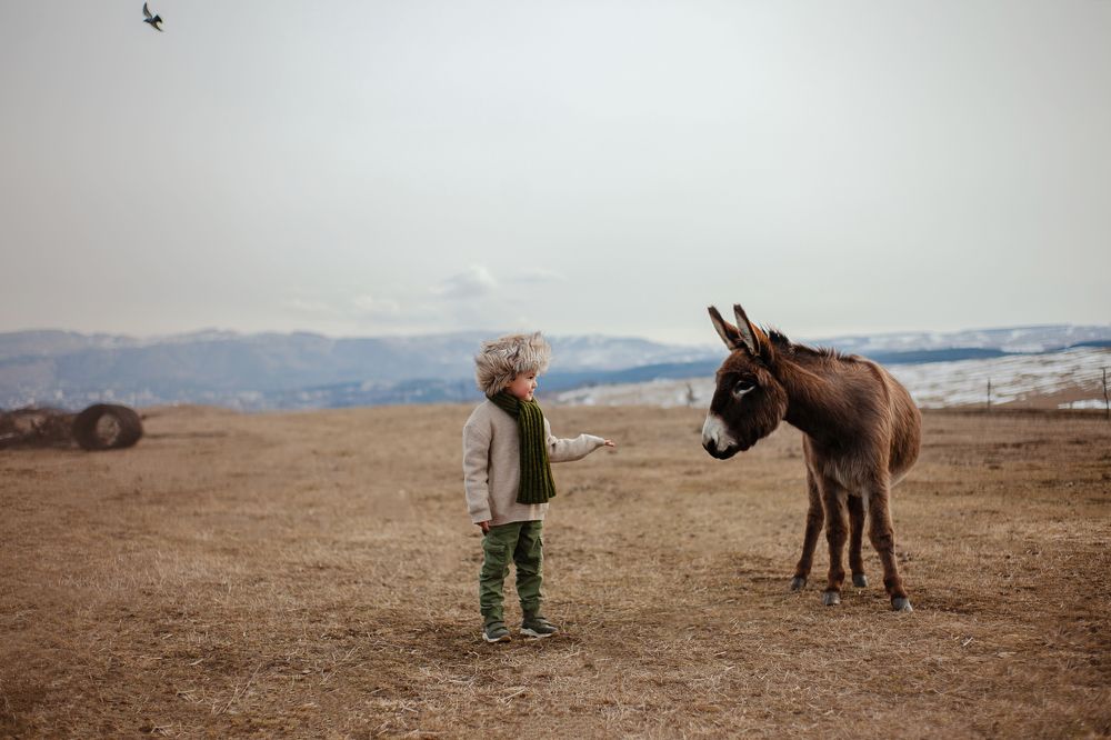 Photograph by Нина Зайцева