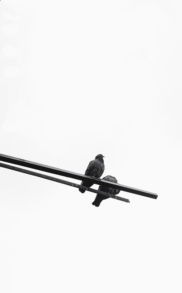 Photograph by Yasha Akhtar