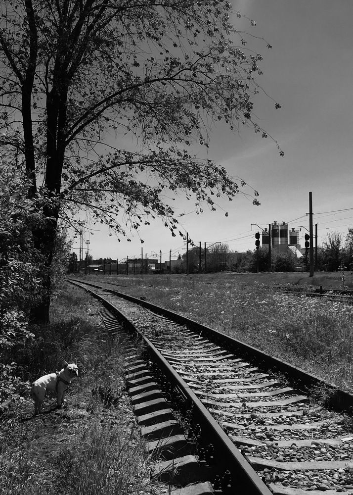 Photograph by Полина Рыжакова