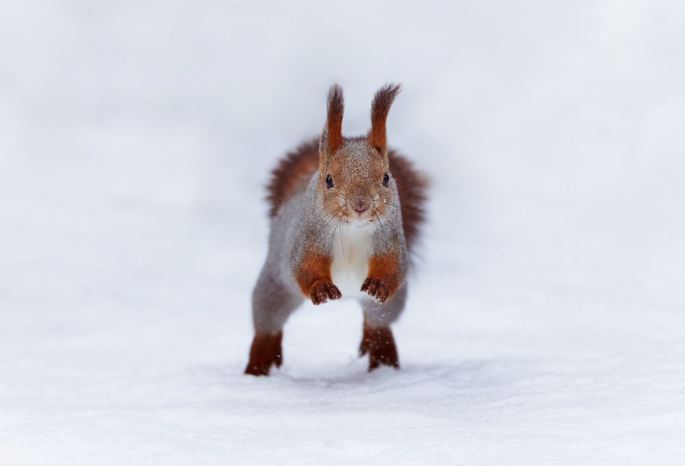 Фотография автора Кожанов Нуржан
