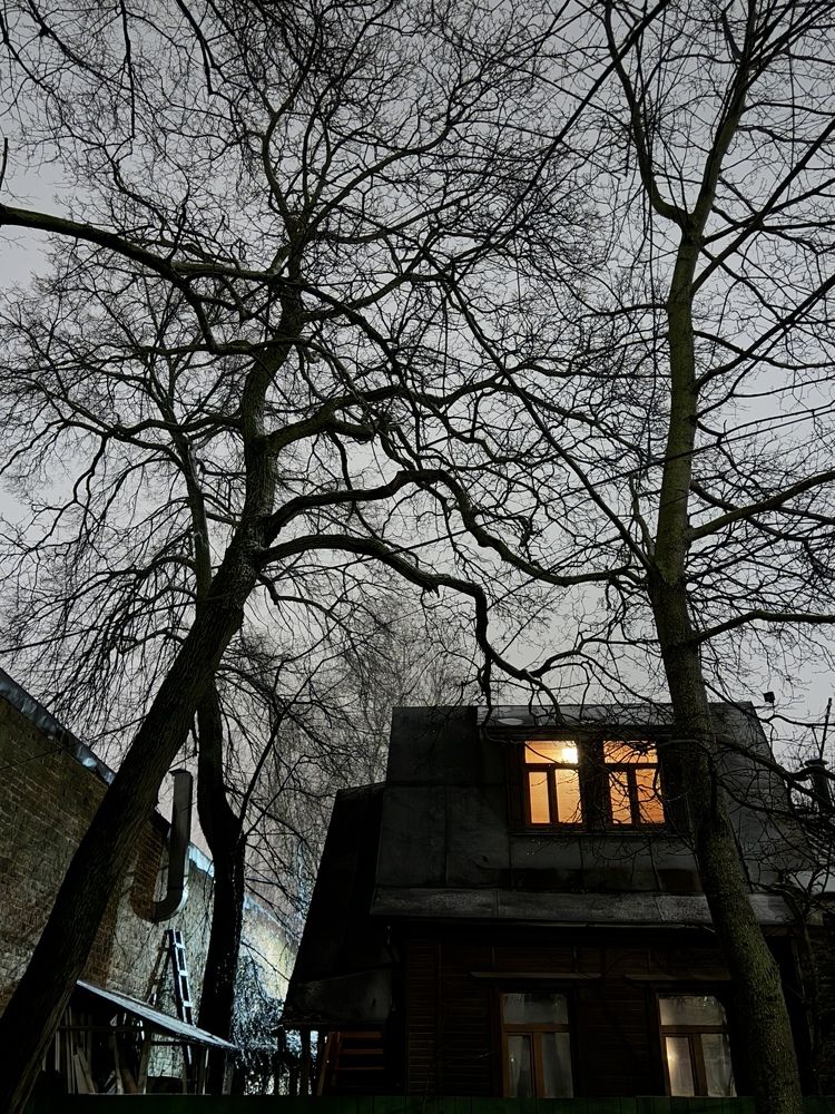 Photograph by Inna Shevchenko