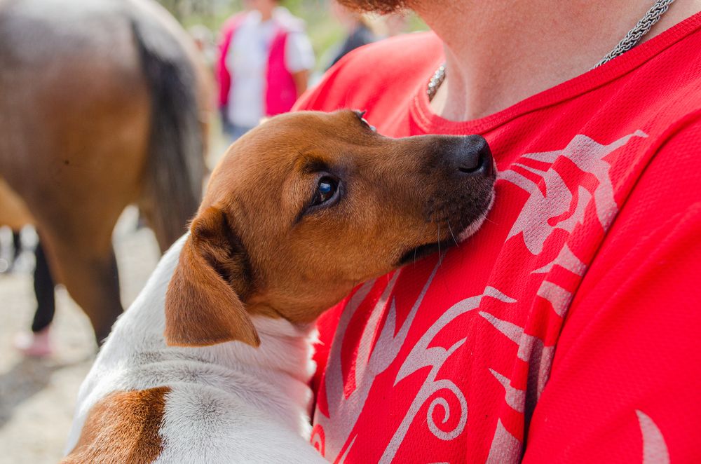 Фотография автора Мария Сидорова