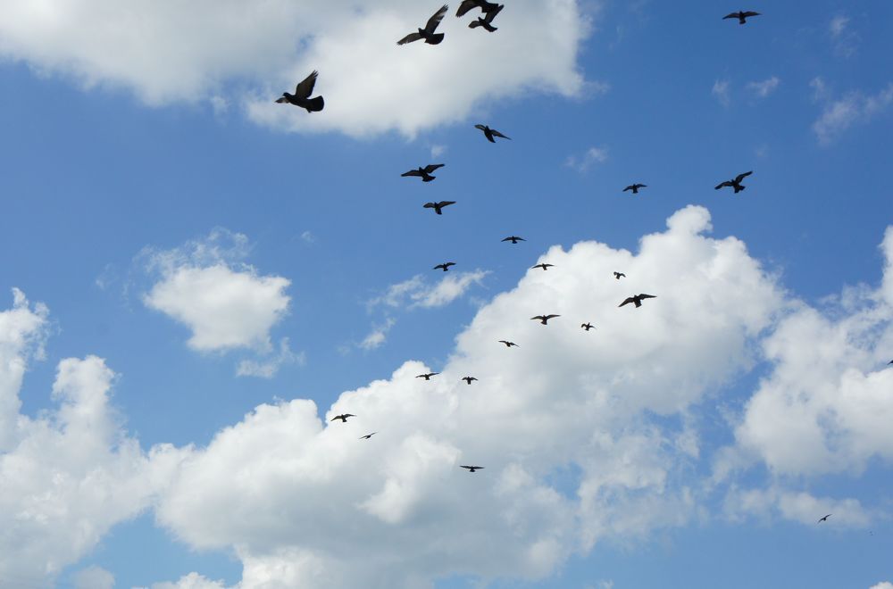 Фотография автора Михаил Бурминский