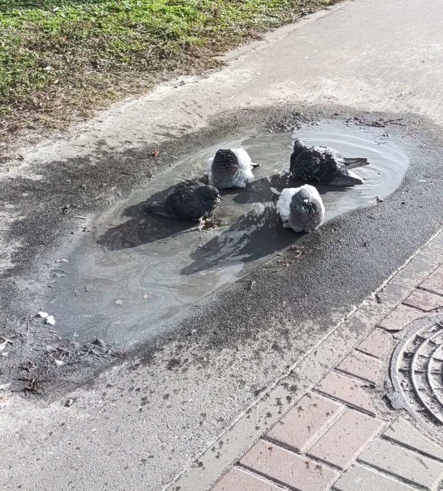 Фотография автора Михаил Бурминский