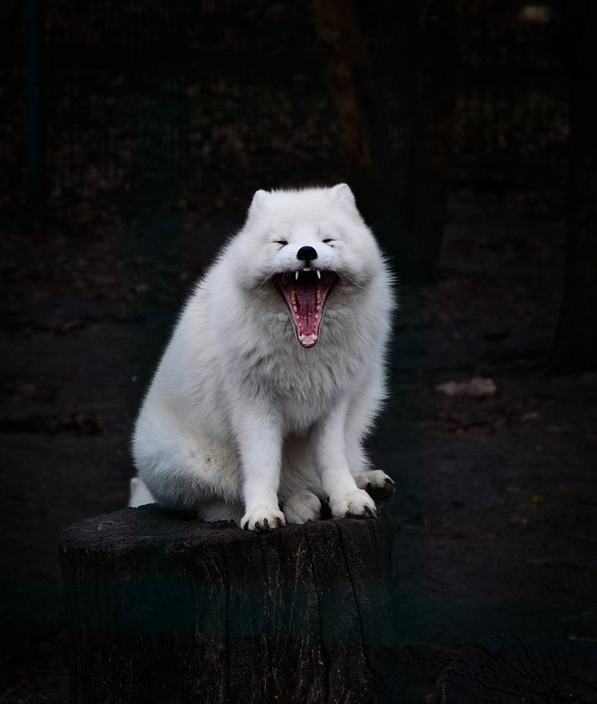 Photograph by AndreY