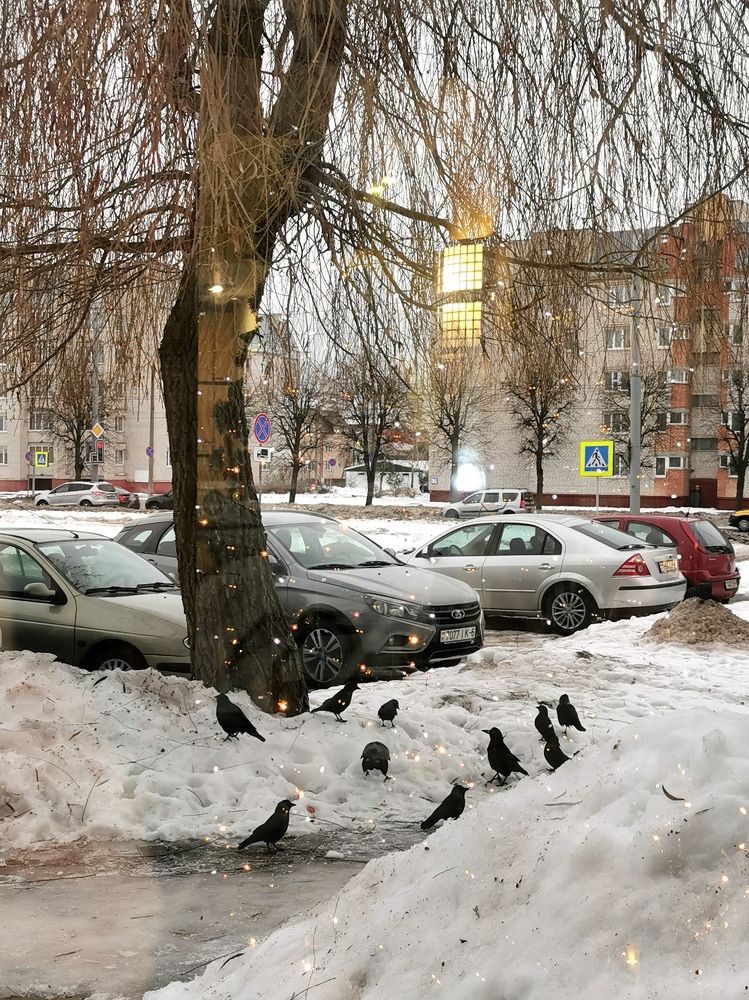 Photograph by Людмила Орловская