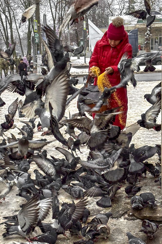 Фотография автора Графов Борис