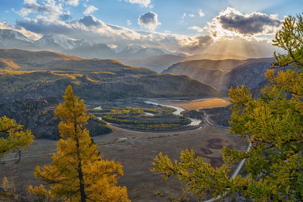 Photograph by Лариса Дука