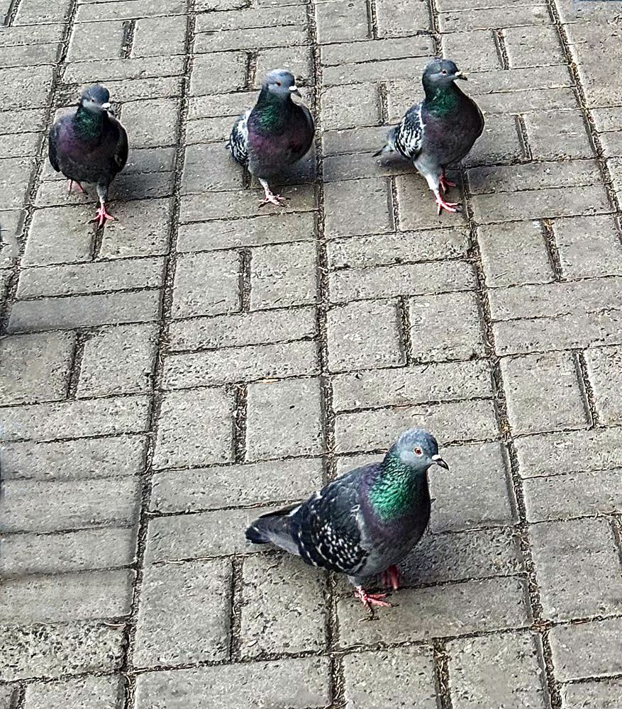 Фотография автора Графов Борис