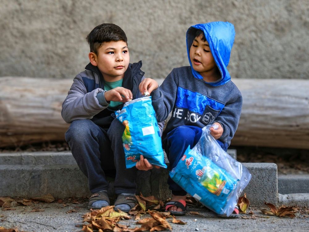 Фотография автора Zahra Seyedmorti