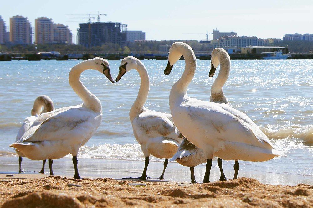 Photograph by Евгений Киселев