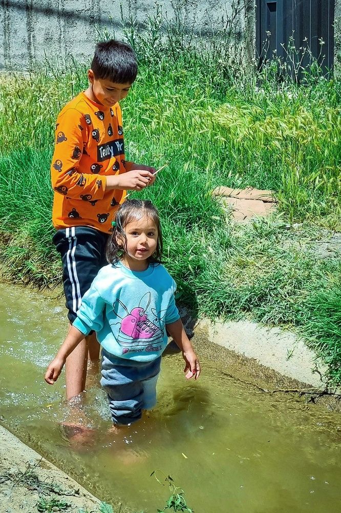 Фотография автора Zahra Seyedmorti