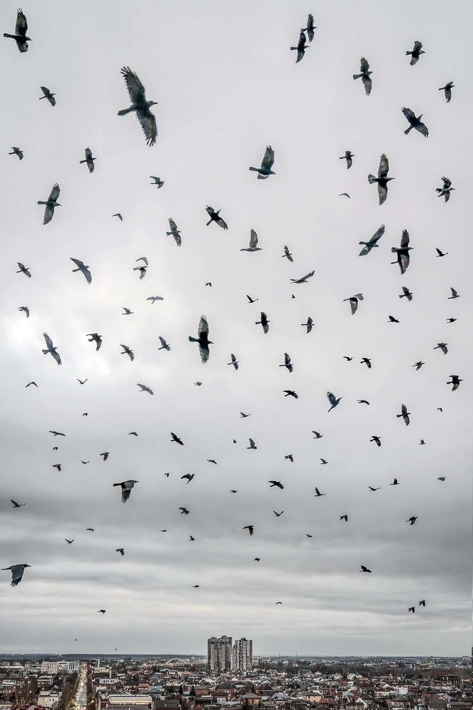 Photograph by Евгений Киселев