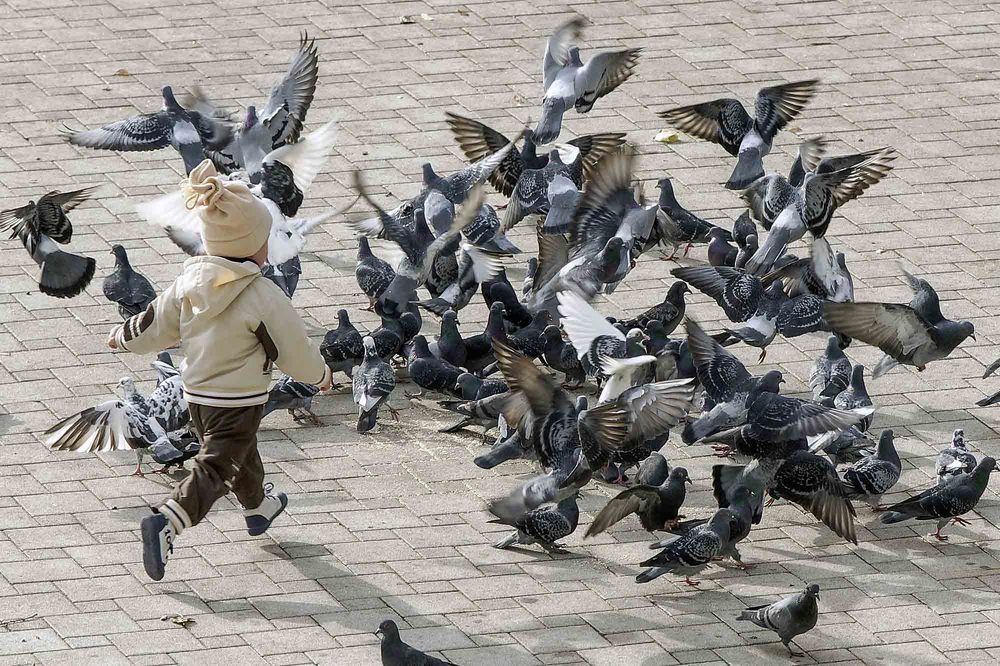 Photograph by Евгений Киселев