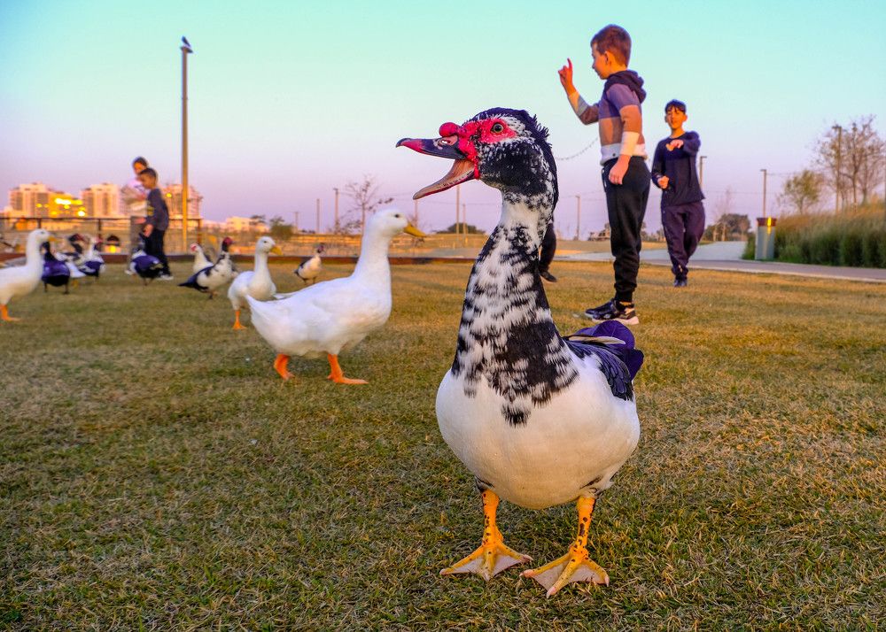 Фотография автора Dmitry