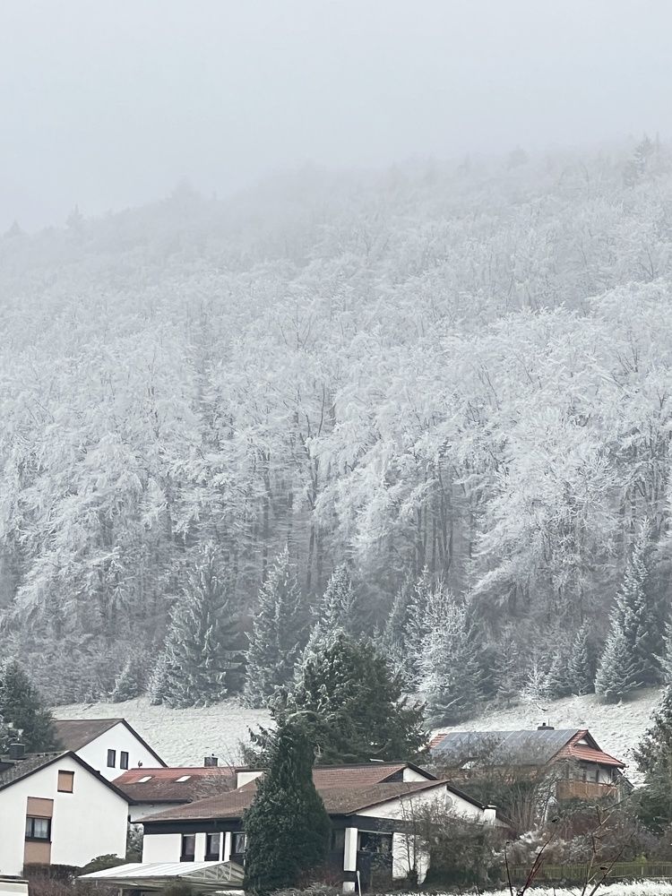 Photograph by Eugenia Schmidt