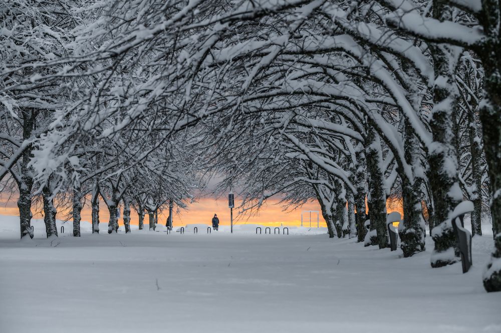Photograph by Agnieszka Wieczorek