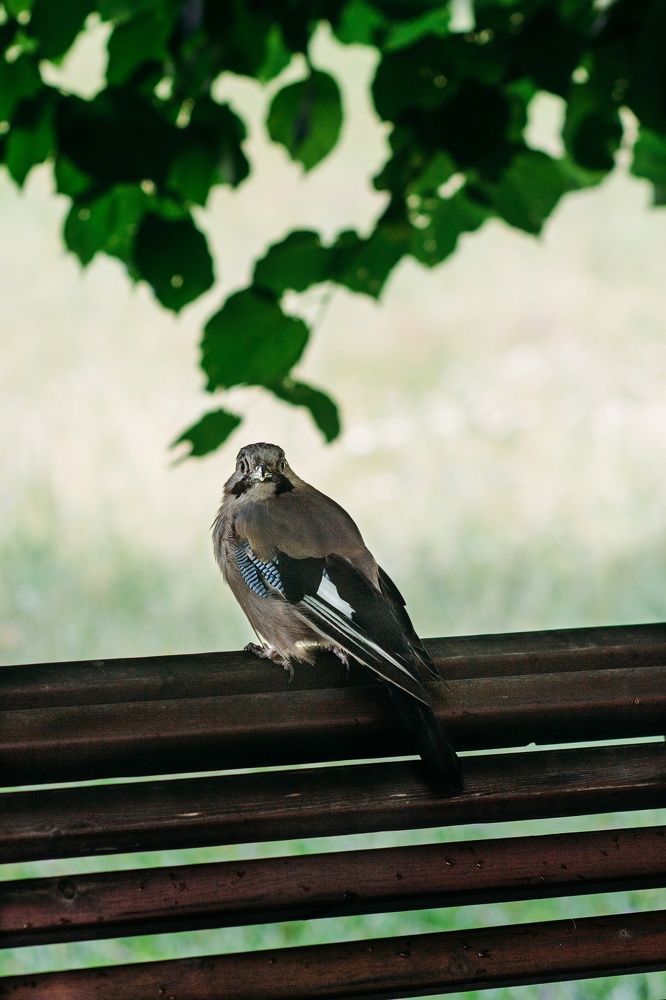 Photograph by Анастасия Лидяева