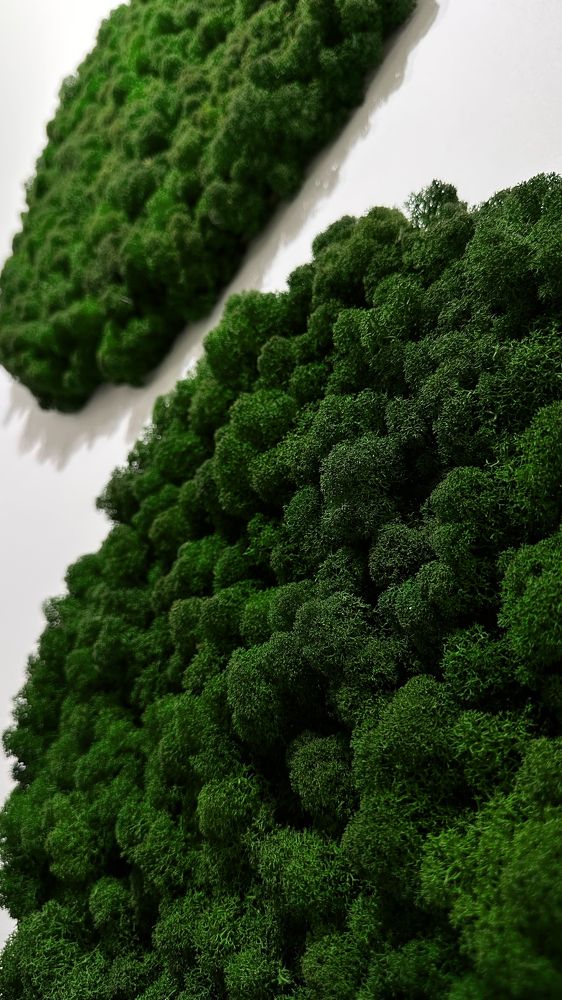 Photograph by Наталия Федосова