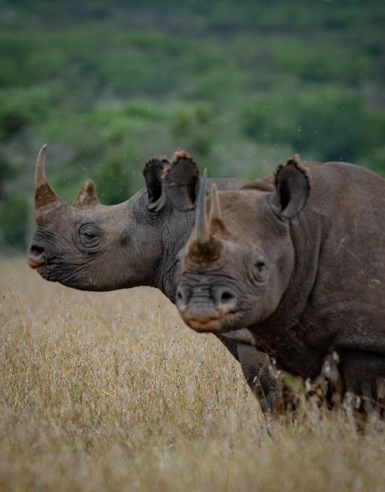 Photograph by Kevin kosgei