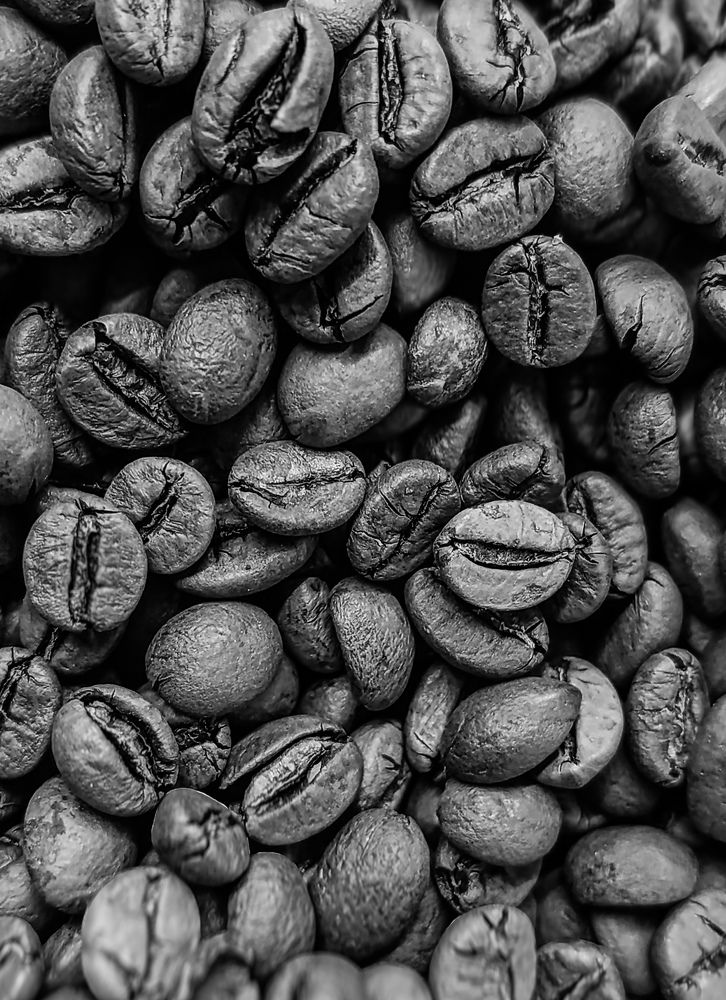 Photograph by علی اصغر آهنگری