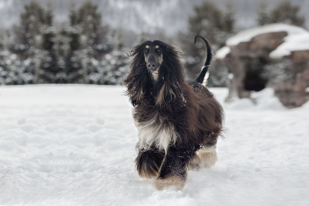Фотография автора Екатерина Полякова