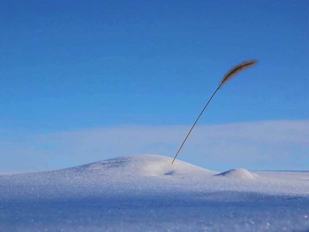 Одиночество