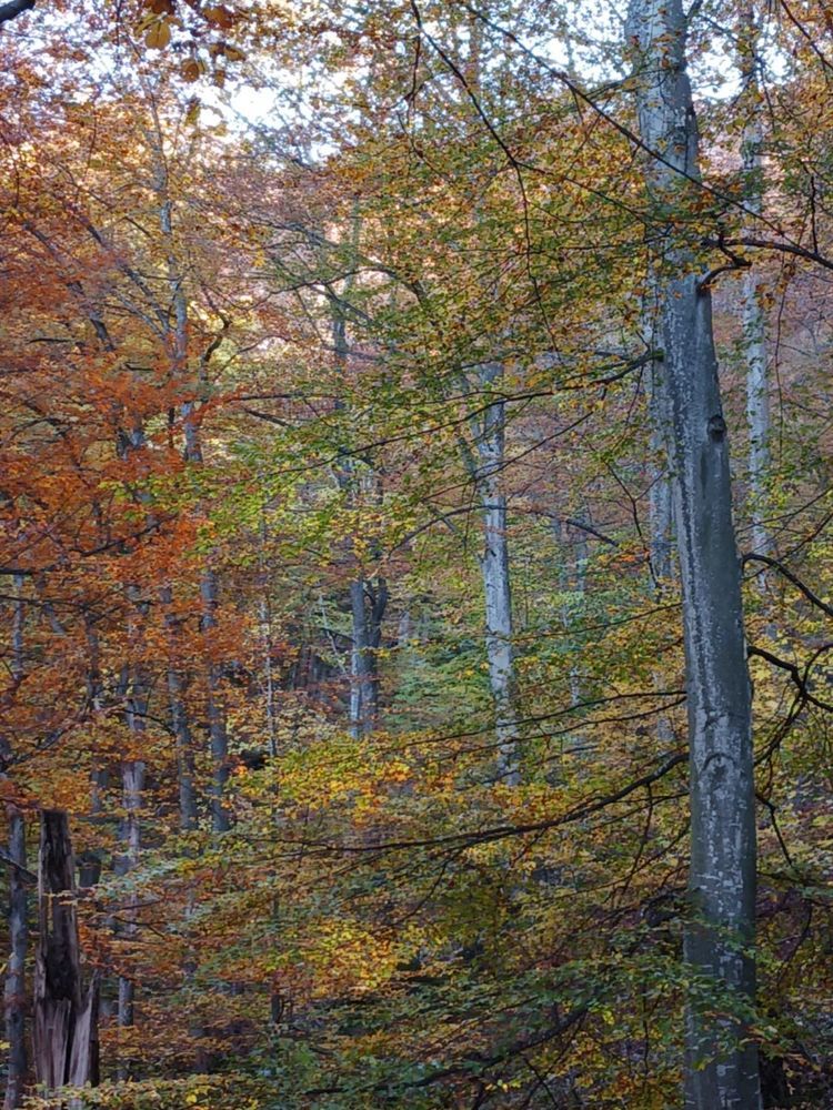 Photograph by Милена Андонова