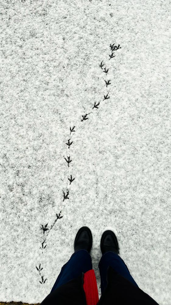 Photograph by Наталия Федосова