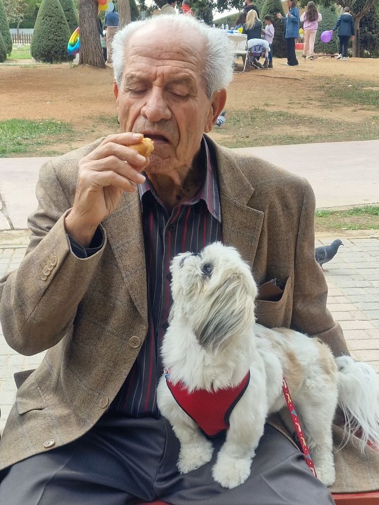 Фотография автора Елена Алексеева