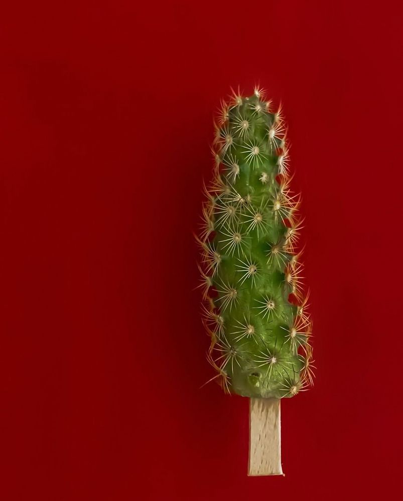 Photograph by Наталья К