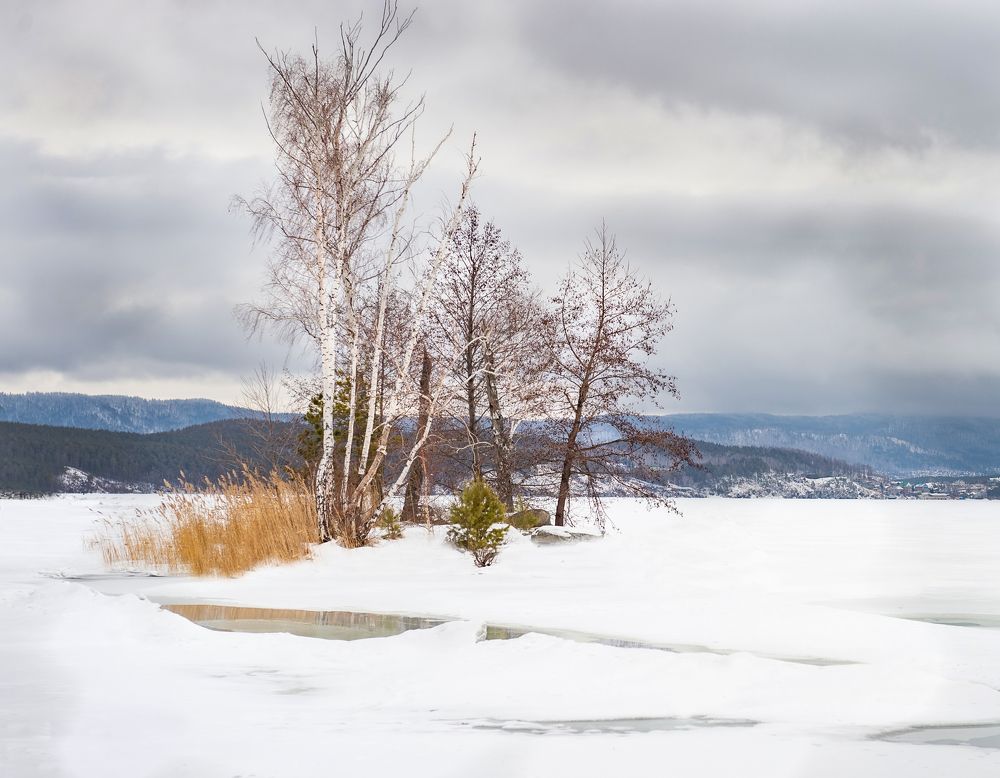 Photograph by Елена Куртеева