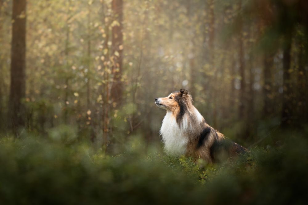 Photograph by Nicol Urbanová
