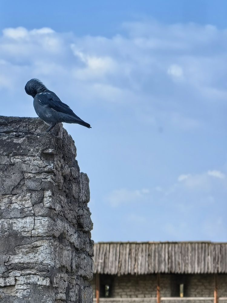 Photograph by OLGA MIKHNEVICH