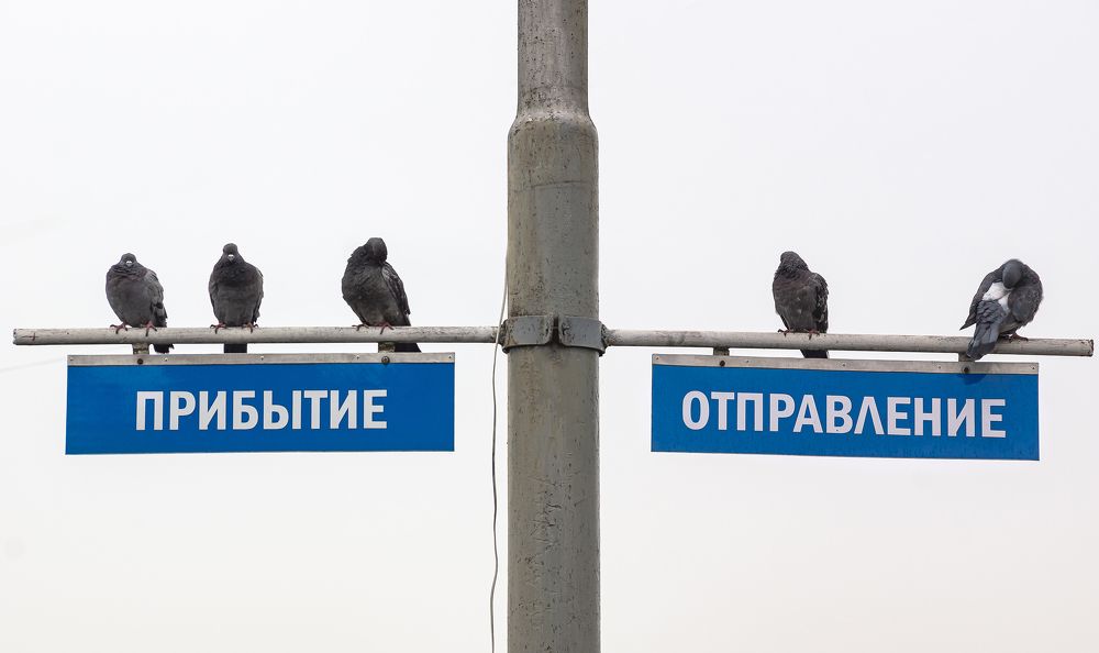 Фотография автора Zakharov Armen