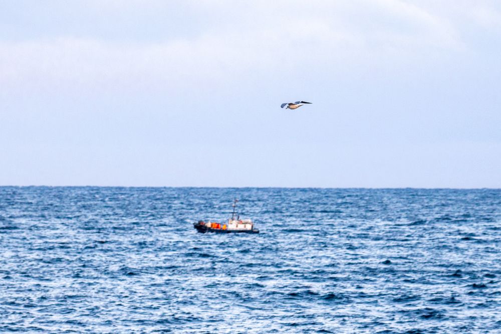 Photograph by Микаэль Ахмедов