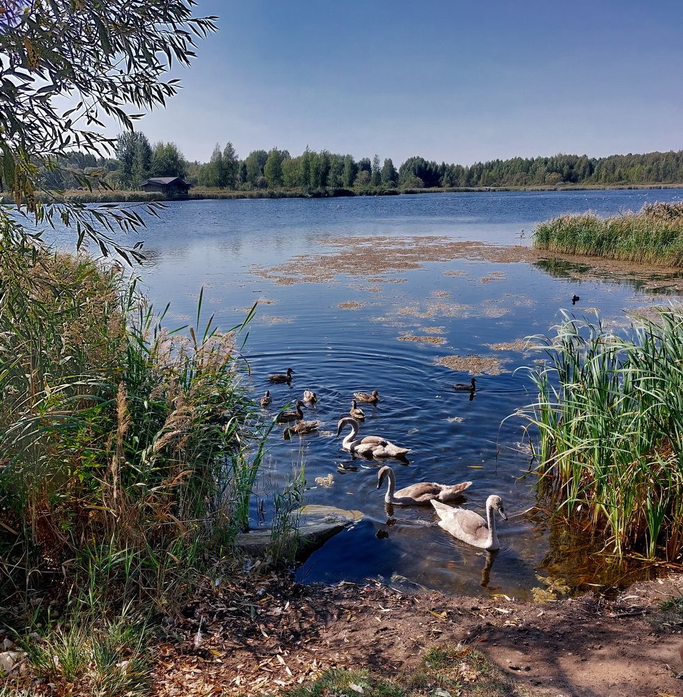 Photograph by Шкарупа Тамара