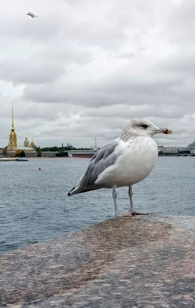 Photograph by Алла Узкая