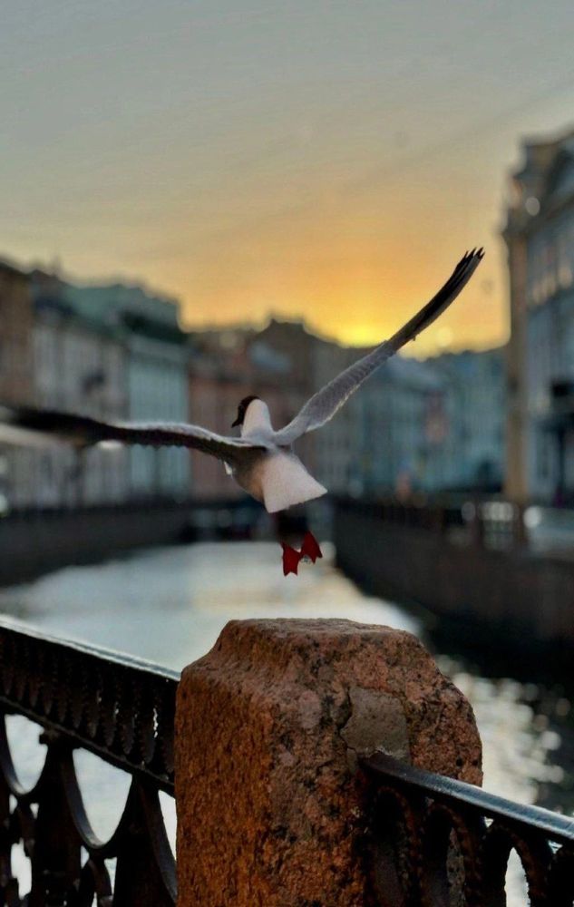 Photograph by Алла Узкая