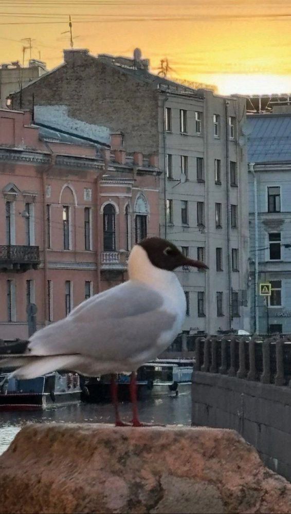 Photograph by Алла Узкая