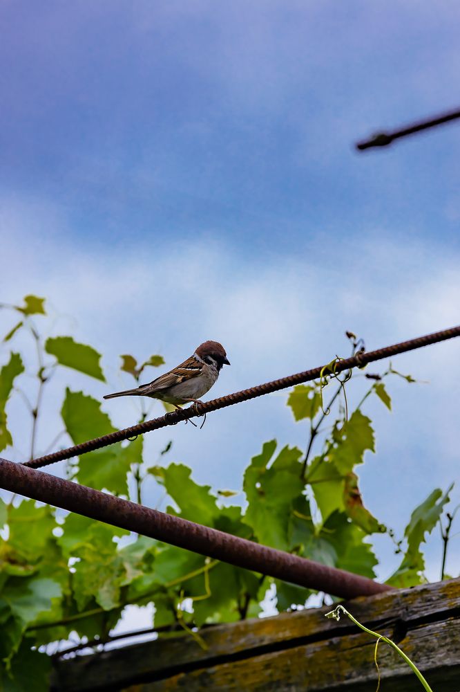 Photograph by Ольга Богданова