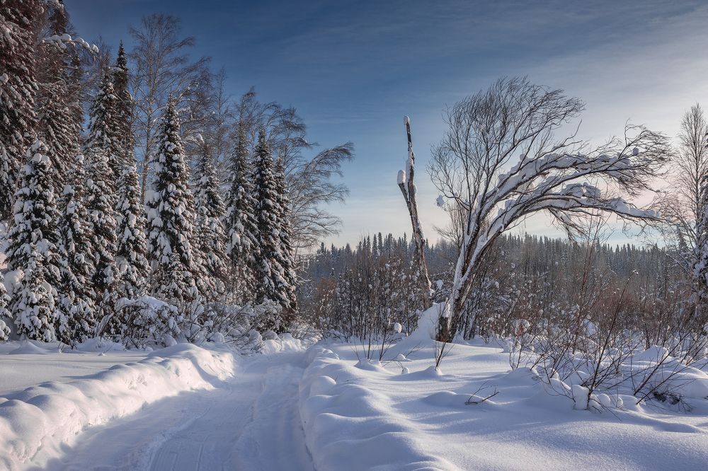 Photograph by Дмитрий Юдин